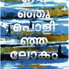 Idinju Polinja Lokam